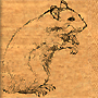 Аватар для booDeHamstrio