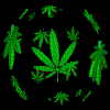 Аватар для Rastaman-86