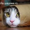 Аватар для picnic