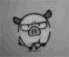   spok-pok