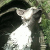   LAST_GUARDIAN