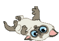 Аватар для yurikos