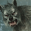 Аватар для mitya_demon